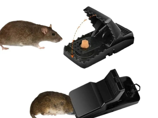 2 Pc mouse trap